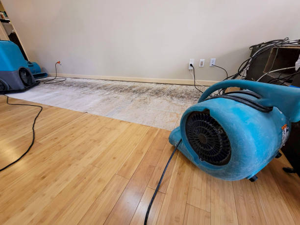 Professional Sewage Cleanup technician working in Bethlehem, KY